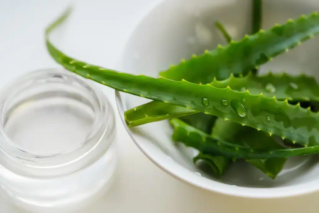 El aloe vera es un remedio natural para aliviar los síntomas del herpes labial.